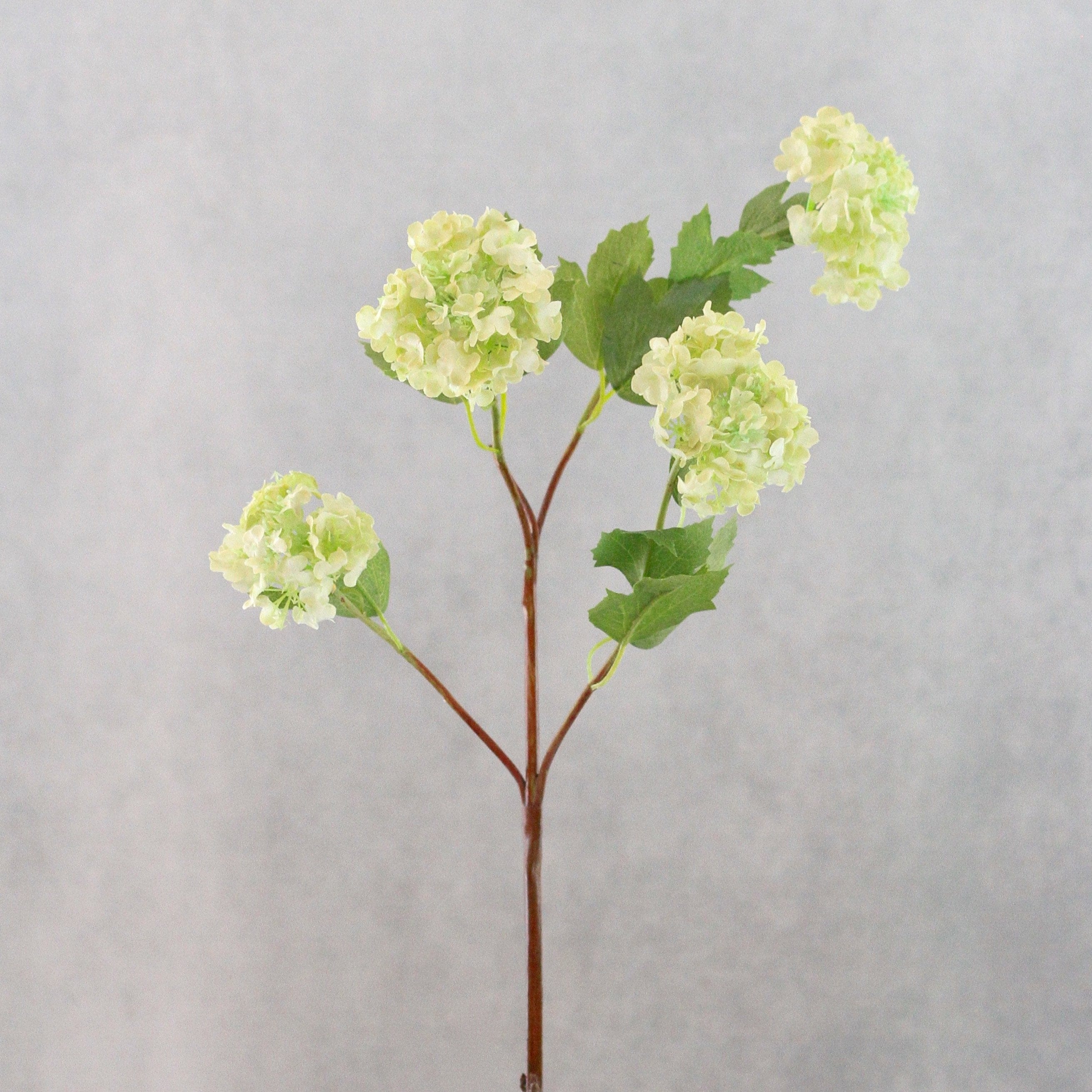 artificial flowers luxury faux silk green viburnum snowball lifelike realistic faux flowers buy online from Amaranthine Blooms Hong Kong UK