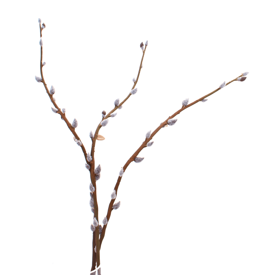 Artificial Brown Pussy Willow - Wholesale