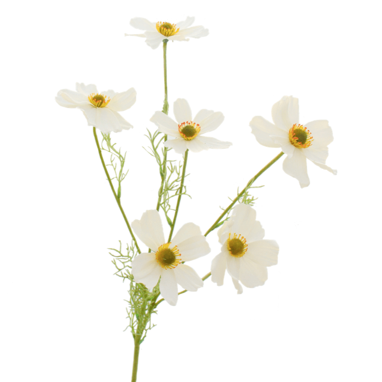 artificial flowers luxury faux silk white cosmos lifelike realistic faux flowers buy online from Amaranthine Blooms Hong Kong UK