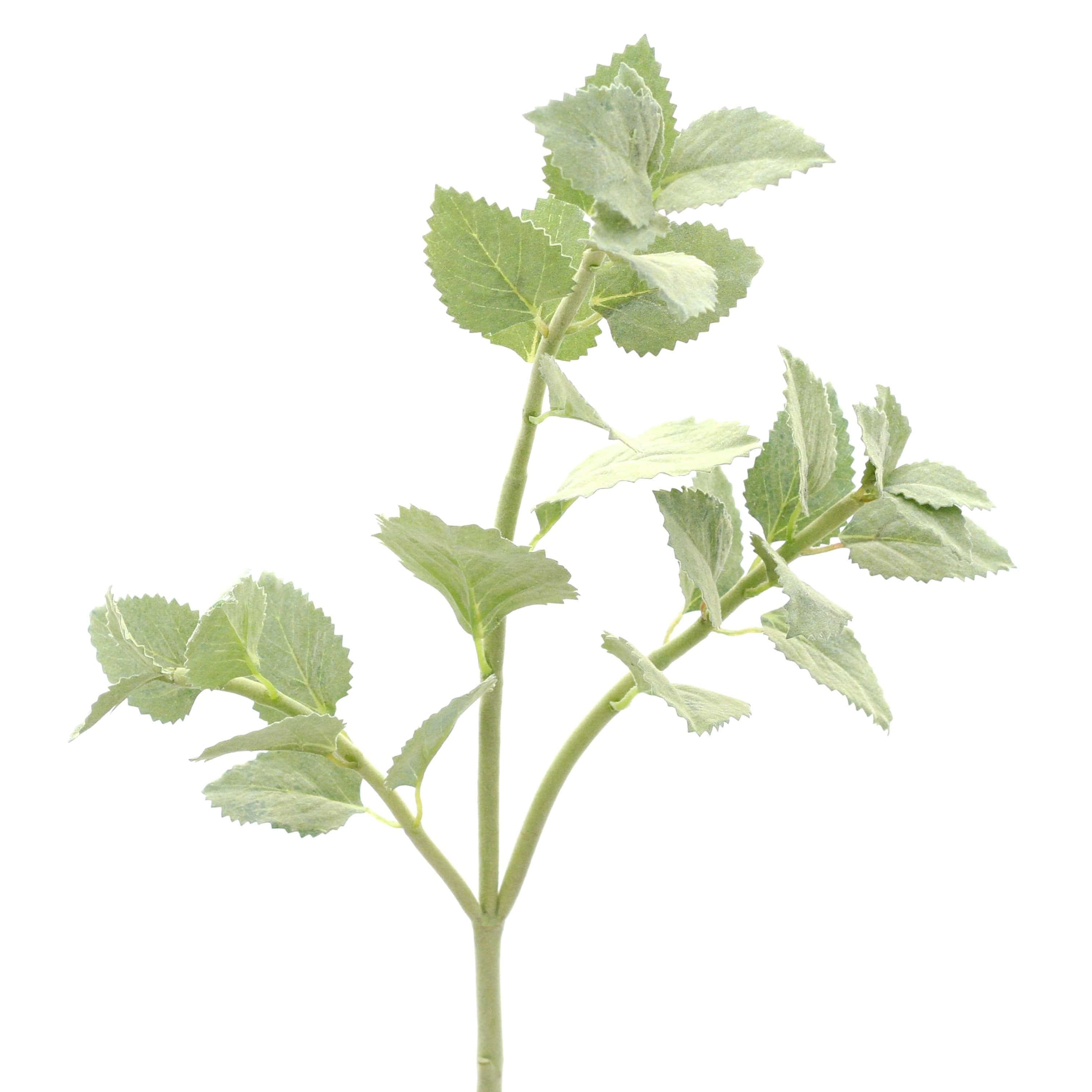 luxury artificial fake silk flowers green nettle leaf lifelike realistic faux flowers buy online from Amaranthine Blooms Hong Kong UK