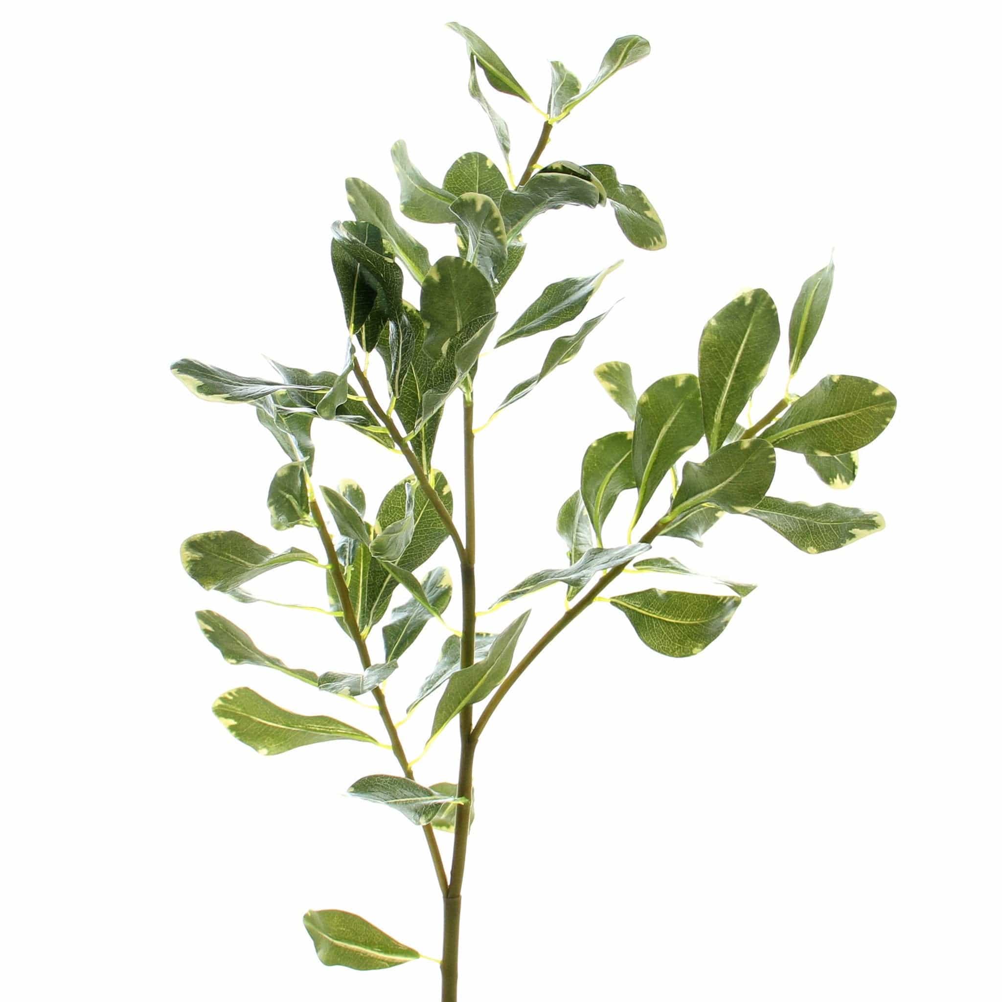 luxury artificial fake silk flowers green pittosporum leaf lifelike realistic faux flowers buy online from Amaranthine Bloom UK