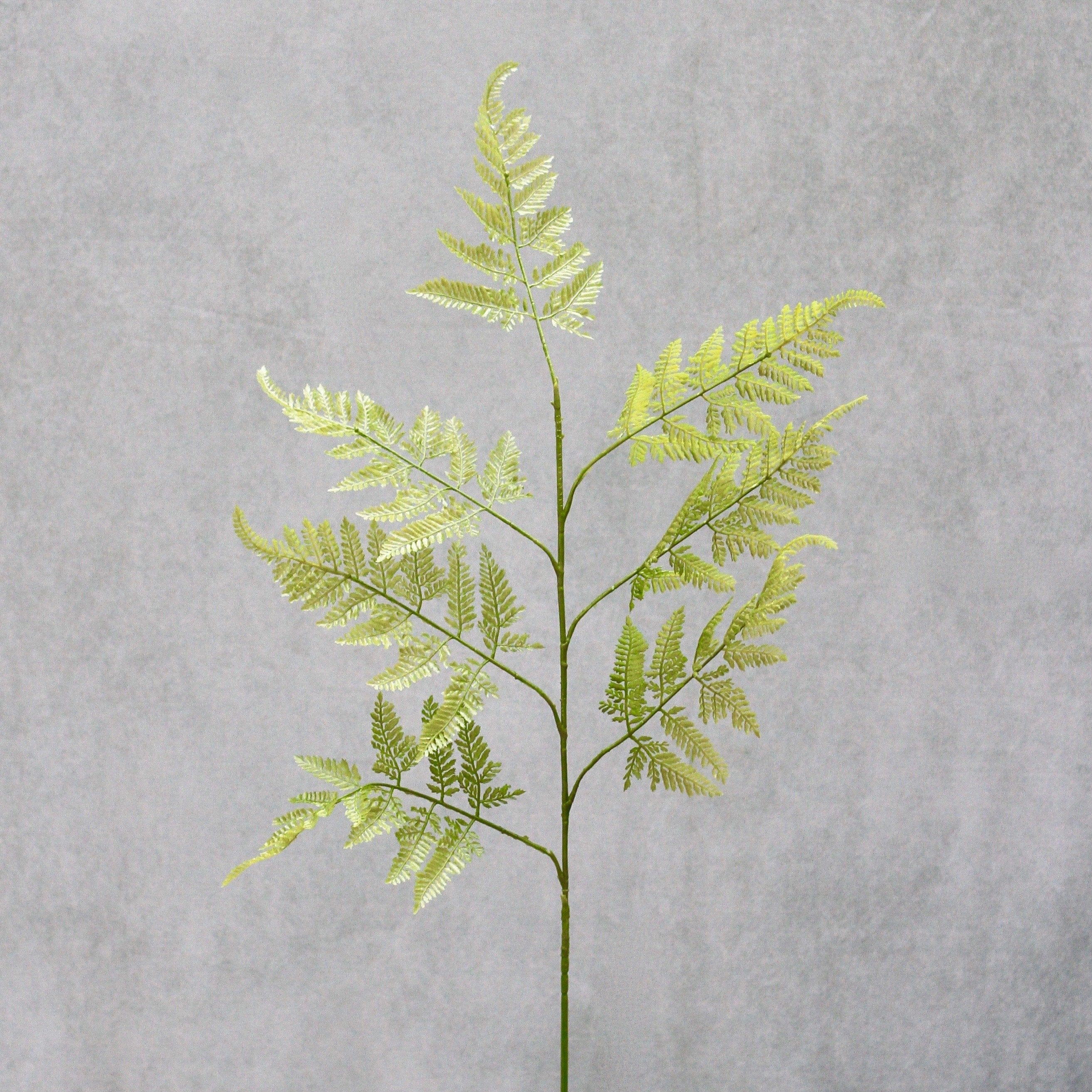 luxury artificial fake silk flowers green seven fern spray lifelike realistic faux flowers buy online from Amaranthine Blooms Hong Kong UK