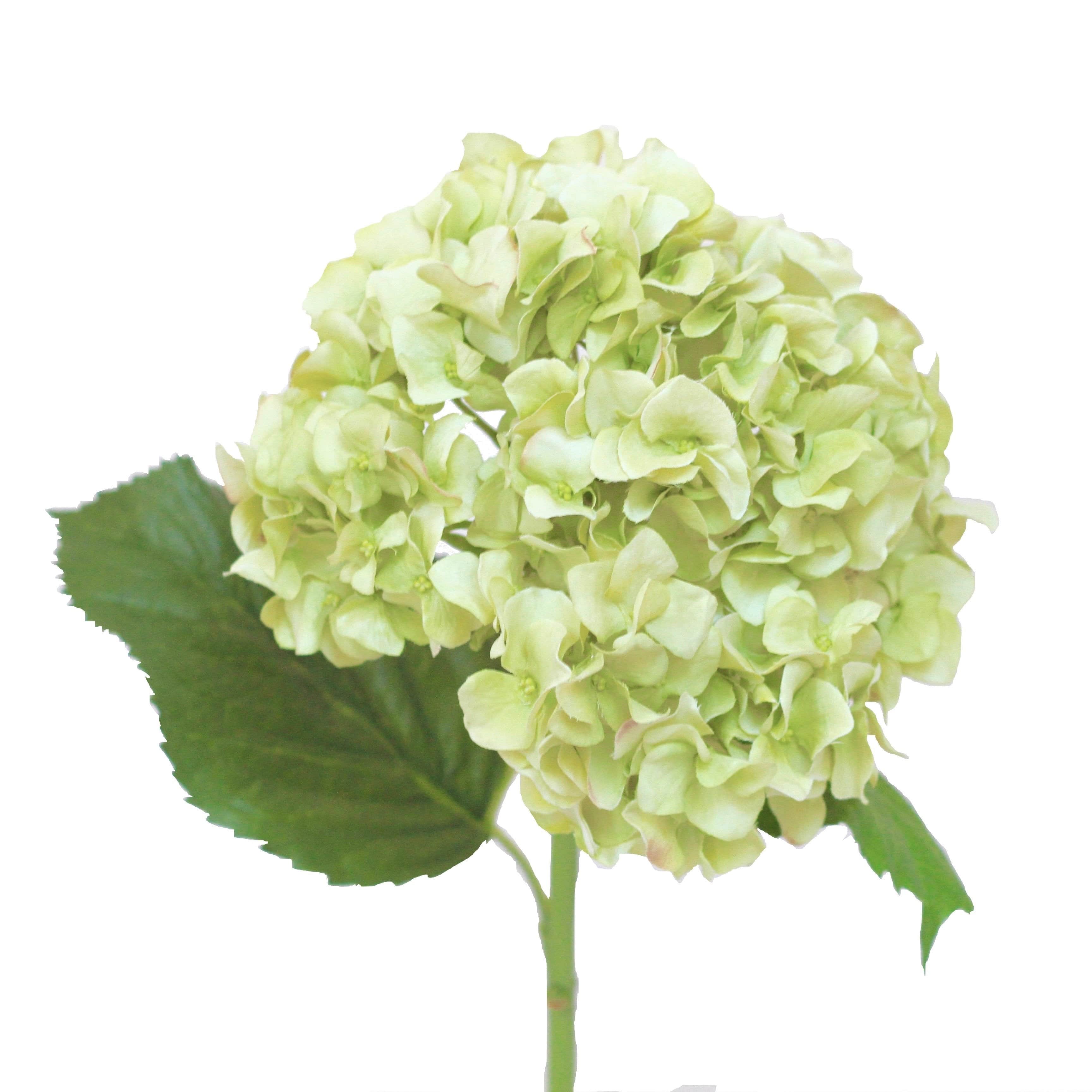 Artificial flowers luxury faux silk Green Hydrangea lifelike realistic faux flowers buy online from Amaranthine Blooms UK