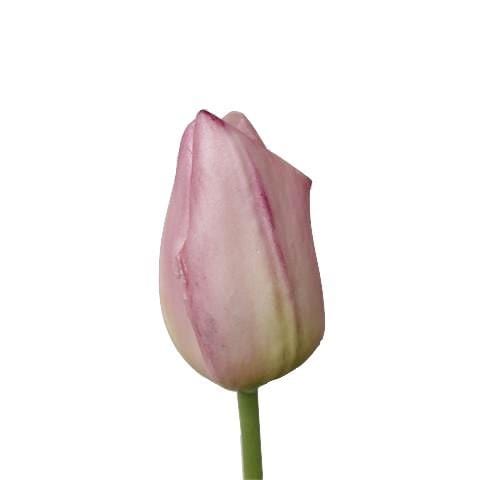 Artificial Pink Tulip - Wholesale
