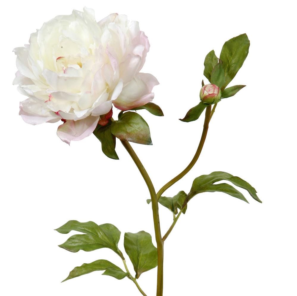this luxury lifelike and realistic artificial white peony silk flower is available from Amaranthine Blooms in Hong Kong and UK