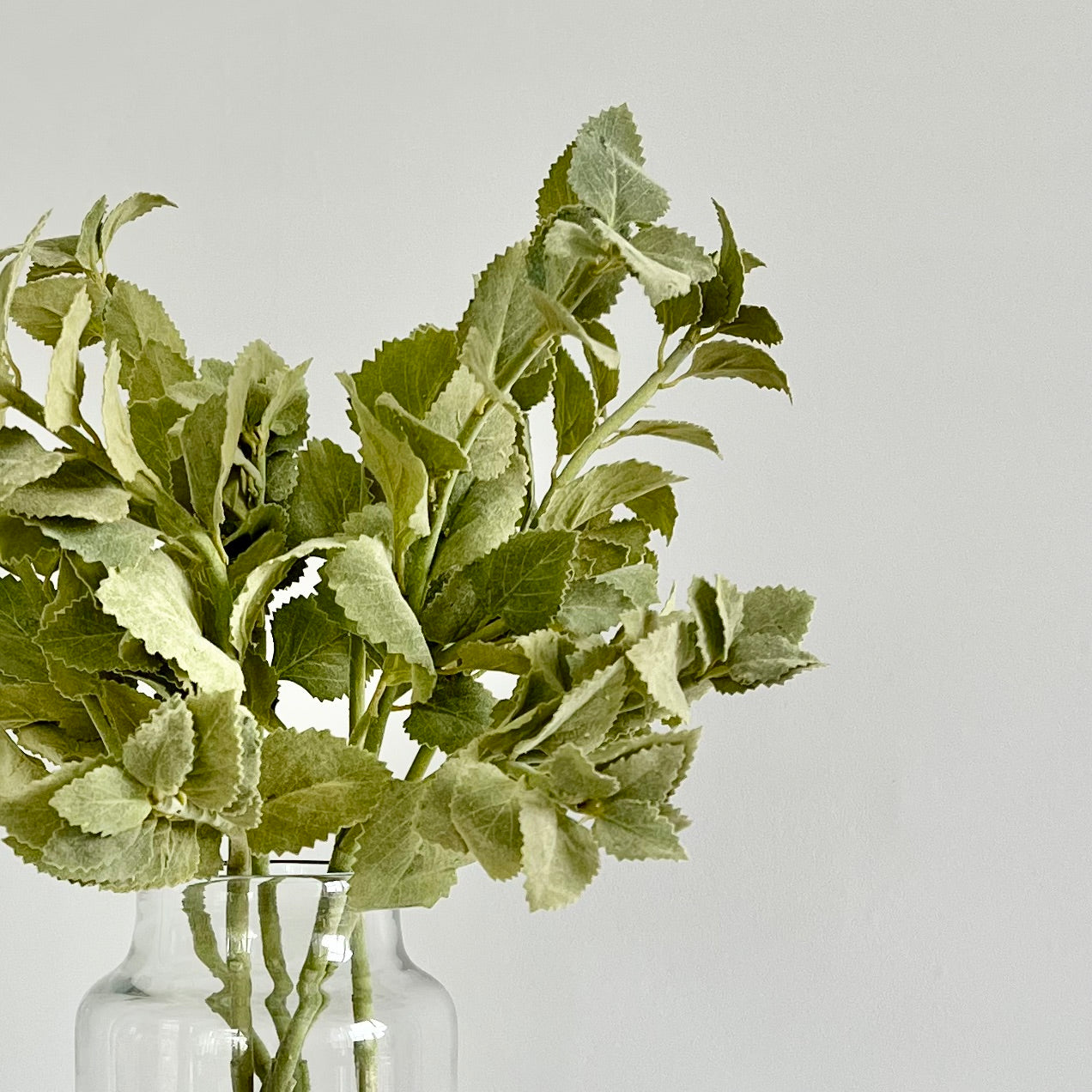 Wholesale Artificial Flowers High Quality Faux Silk Flowers for Wholesale and Trade Artificial Green Nettle Leaves in bulk