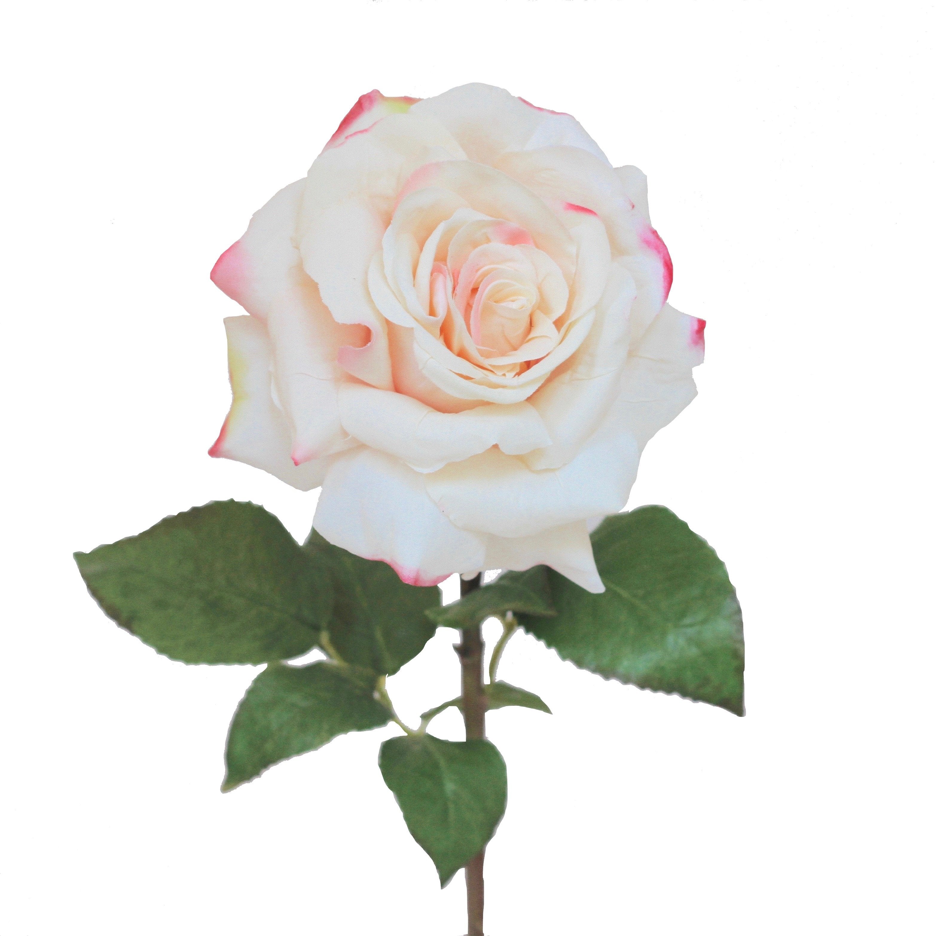 artificial flowers luxury faux silk pale pink hybrid tea rose lifelike realistic faux flowers buy online from Amaranthine Blooms UK