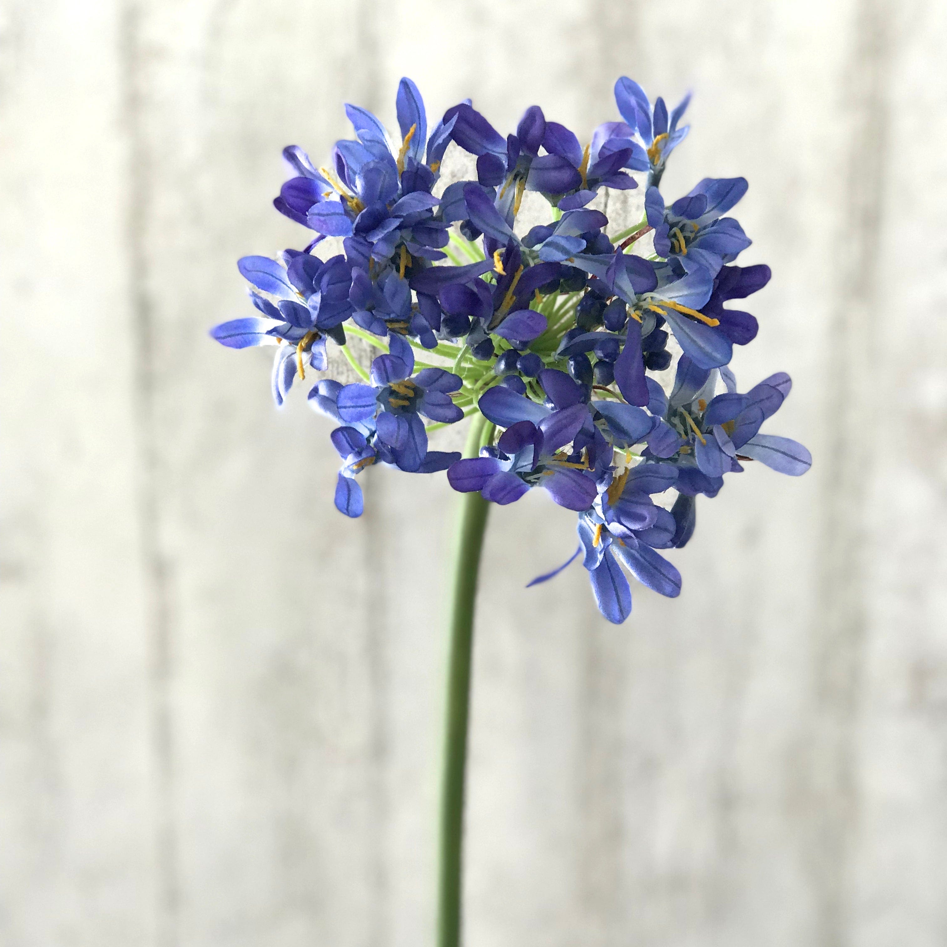 artificial flowers luxury faux silk blue agapanthus lifelike realistic faux flowers buy online from Amaranthine Blooms UK 