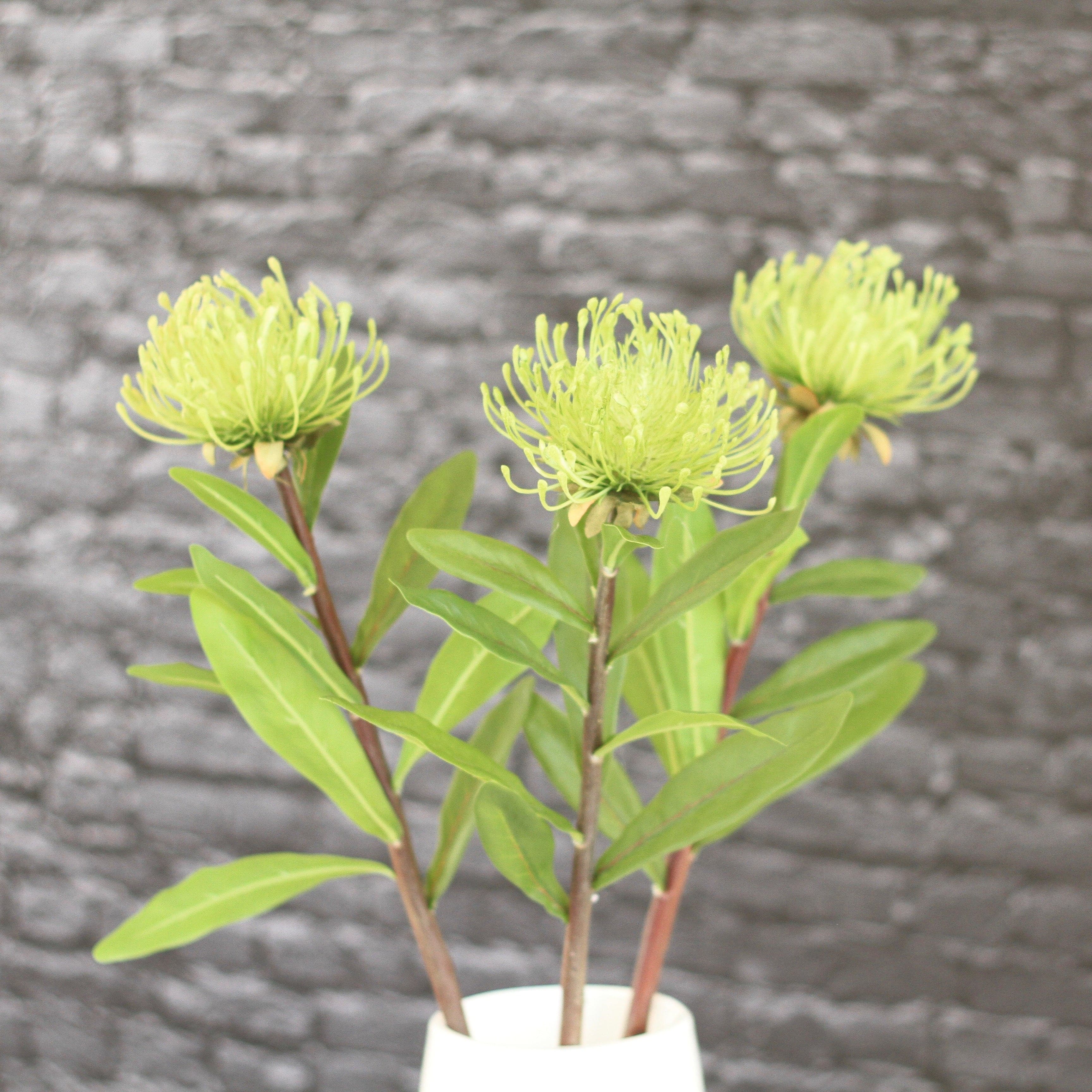 artificial flowers luxury faux silk green pincushion protea lifelike realistic faux flowers buy online from Amaranthine Blooms UK