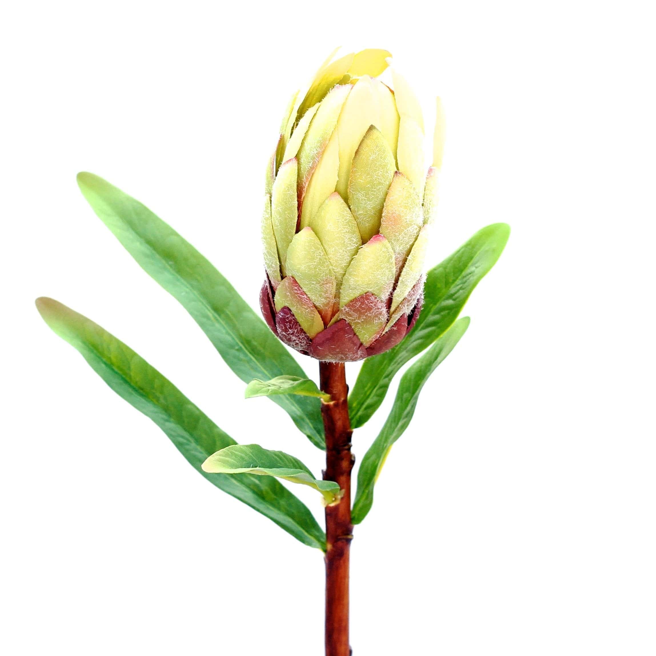 luxury artificial fake silk flowers green purple protea lifelike realistic faux flowers buy online from Amaranthine Blooms Hong Kong UK