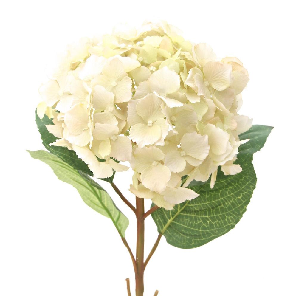 this luxury lifelike and realistic artificial cream lacecap hydrangea - tall silk flower is available from Amaranthine Blooms in Hong Kong and UK