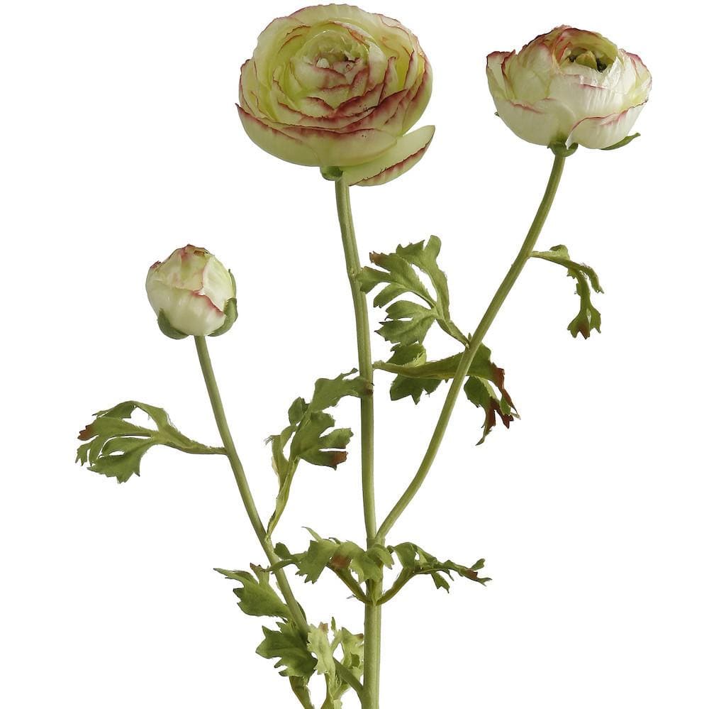 this luxury lifelike and realistic artificial green ranunculus silk flower is available from Amaranthine Blooms in UK